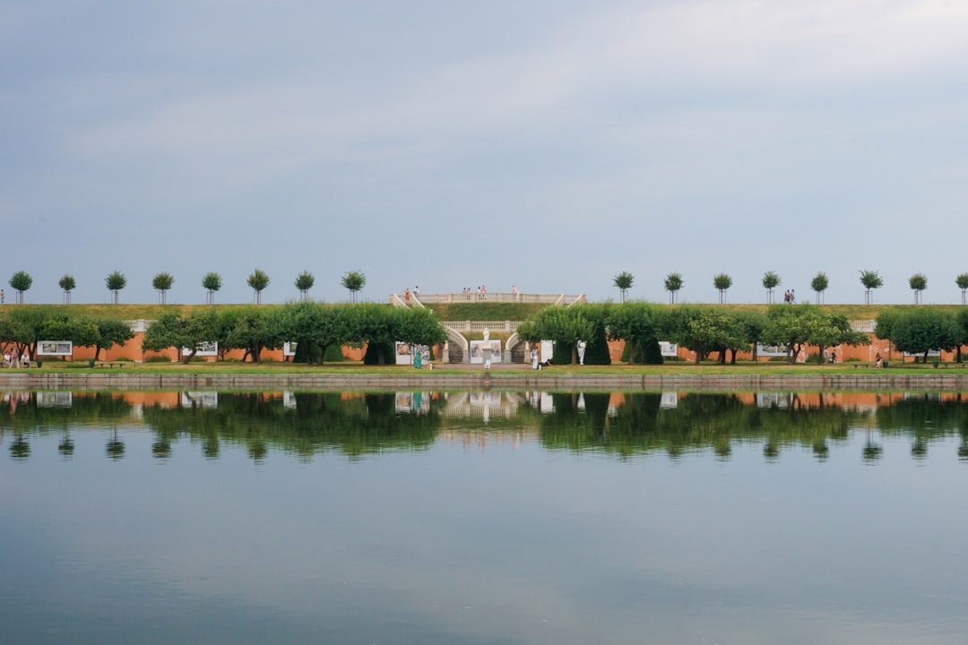 A large body of water with trees in the background